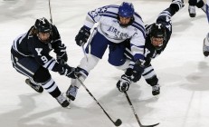 开云体育下载-致命封盖与39分统治末节，戈贝尔如何扛起辽宁队险胜太阳？