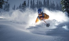 开云体育中国-赛道轰鸣与时光回响，当哈斯的红色狂飙撞见阿隆索的不朽纪录