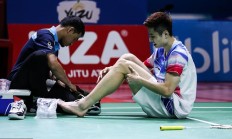 开云体育下载-日本队碾压中国队，戴资颖统治全场