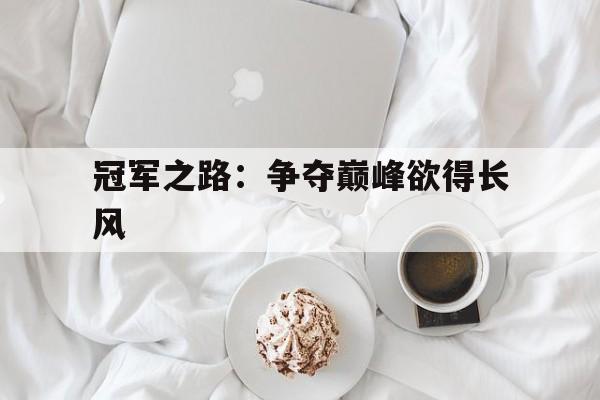 冠军之路：争夺巅峰欲得长风的简单介绍