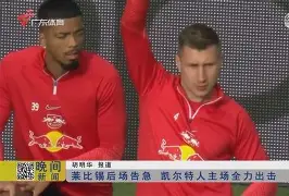 雄士主场大胜雄狮，戈贝尔再战佩尔顿的简单介绍