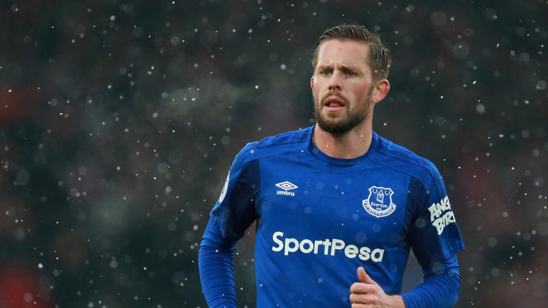 最漫长的直道，当红牛二队在蒙扎看见法拉利的尾翼